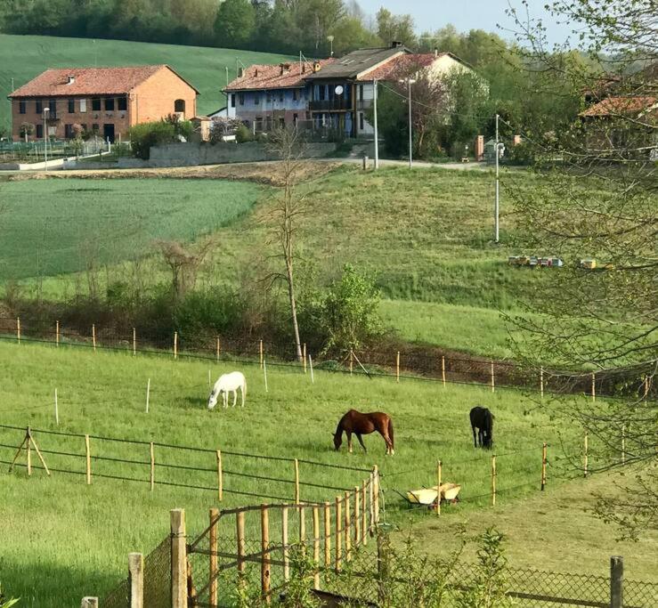 Appartamento In Cascina -La Cascinetta Di Ali- Roatto 외부 사진